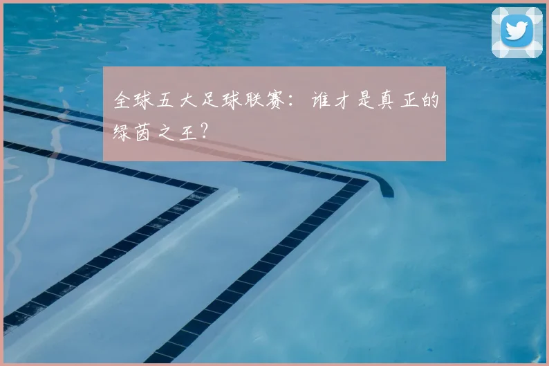 全球五大足球联赛：谁才是真正的绿茵之王？